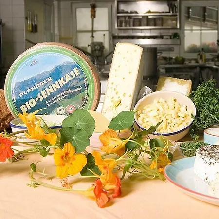 Napoleonvilla Fuer Kreative Auszeiten *